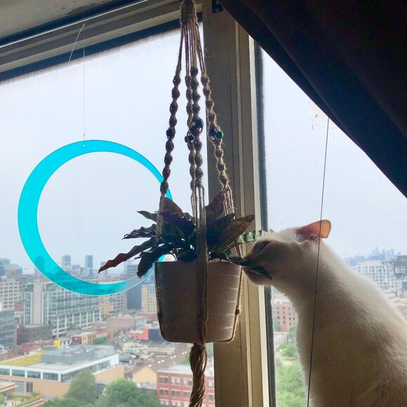 Vintage macrame plant holder hanger with beads - Picture 6 of 10